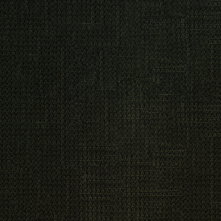 Denali 909 Noir by ABBEYSHEA Designer Fabric 94% Polyester
5% Linen
1% Nylon CN 60,000 Double Rubs (Wyzenbeek) </p><p>Repeat: Horizontal: and Vertical: 57 in. (142 cm) - Swanky Fabrics -