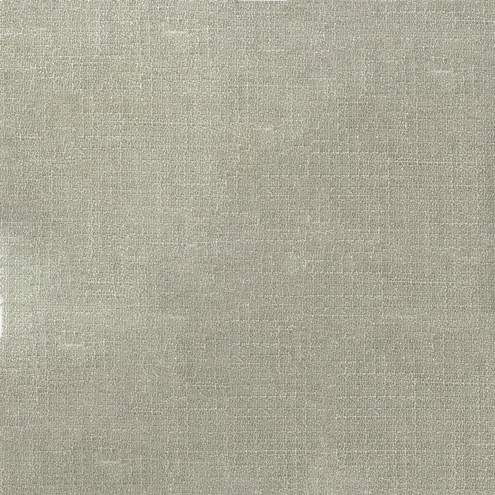 Denali 94 Platinum by ABBEYSHEA Designer Fabric 94% Polyester
5% Linen
1% Nylon CN 60,000 Double Rubs (Wyzenbeek) </p><p>Repeat: Horizontal: and Vertical: 57 in. (142 cm) - Swanky Fabrics -