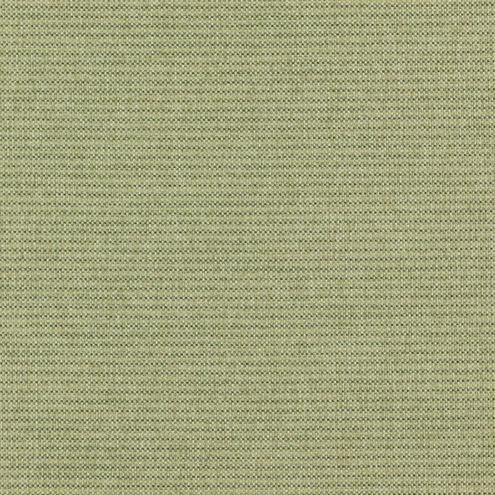 Deputy 76J7351 by JF Designer Fabric Winning Weaves VI - Woven Book 90% Polyester, 10% Viscose India 55000 Horizontal: and Vertical: 57 - Swanky Fabrics -