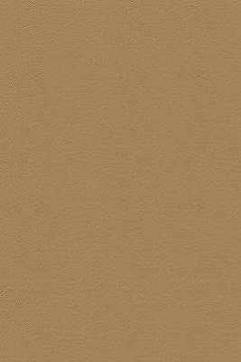 Desire-16 by Kravet Design Designer Fabric - NYTEK - 100% Japan HEAVY Horizontal: 0 and Vertical: 0 54 - Swanky Fabrics -