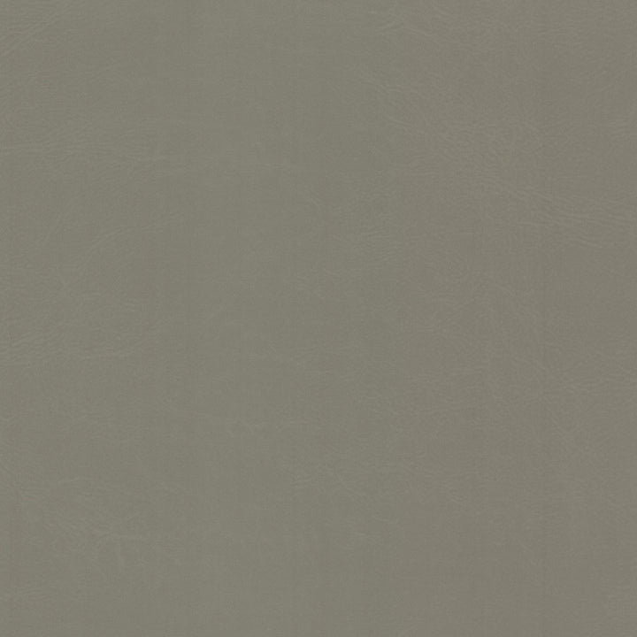 Dewdrop 1 Cement by Stout Designer Fabric LEATHER LOOKS V 100%PVC 2%OTH TAIWAN Horizontal: 0.000 and Vertical: 0.000 54 in - Swanky Fabrics -