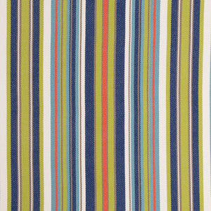 Dexter Multi by Bella-Dura Designer Fabric
