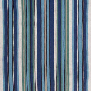 Dexter Shoreline by Bella-Dura Designer Fabric