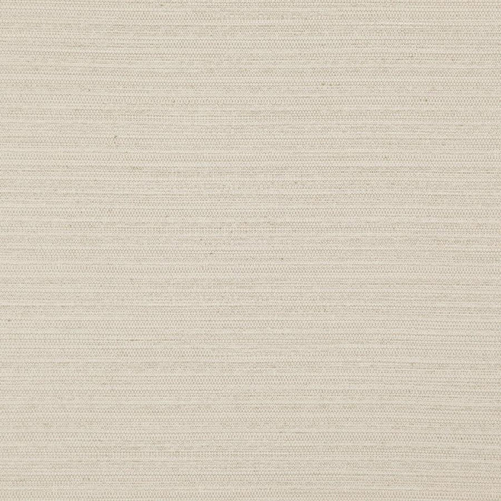 Darwin # 701 Sand by Maxwell Designer Fabric Pure & Simple Vii 100% POLYESTER INDIA 55" - Swanky Fabrics -