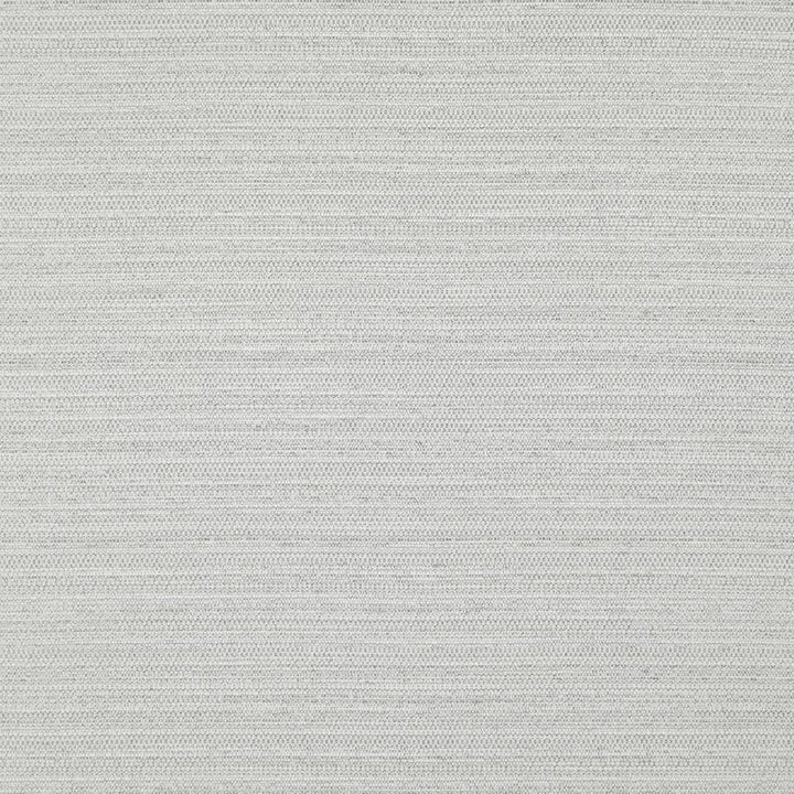 Darwin # 703 Silver by Maxwell Designer Fabric Pure & Simple Vii 100% POLYESTER INDIA 55" - Swanky Fabrics -