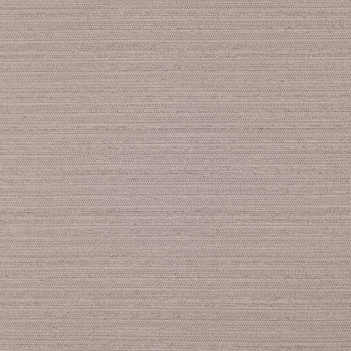 Darwin # 707 Quartz by Maxwell Designer Fabric Pure & Simple Vii 100% POLYESTER INDIA 55" - Swanky Fabrics -