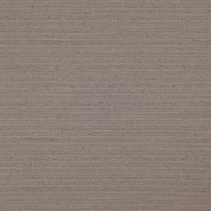 Darwin # 708 Chinchilla by Maxwell Designer Fabric Pure & Simple Vii 100% POLYESTER INDIA 55" - Swanky Fabrics -