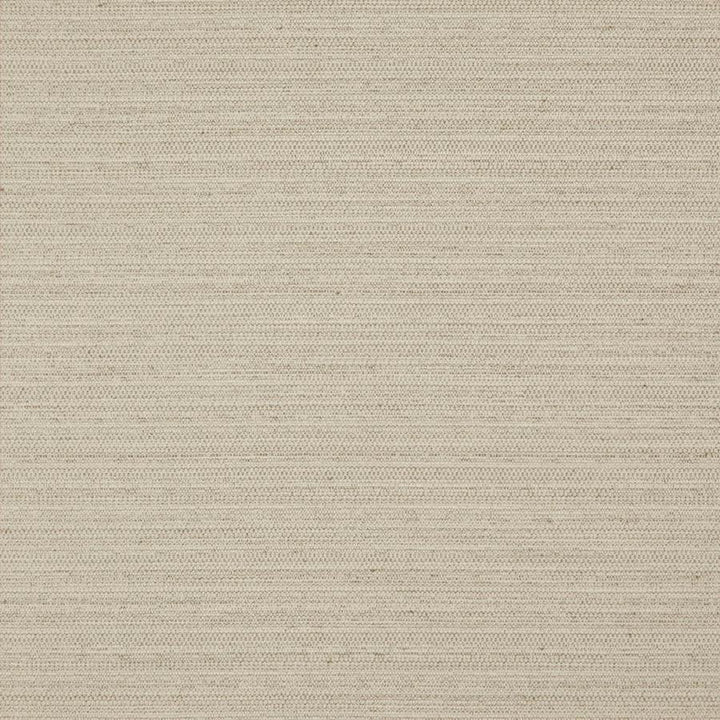 Darwin # 710 Linen by Maxwell Designer Fabric Pure & Simple Vii 100% POLYESTER INDIA 55" - Swanky Fabrics -