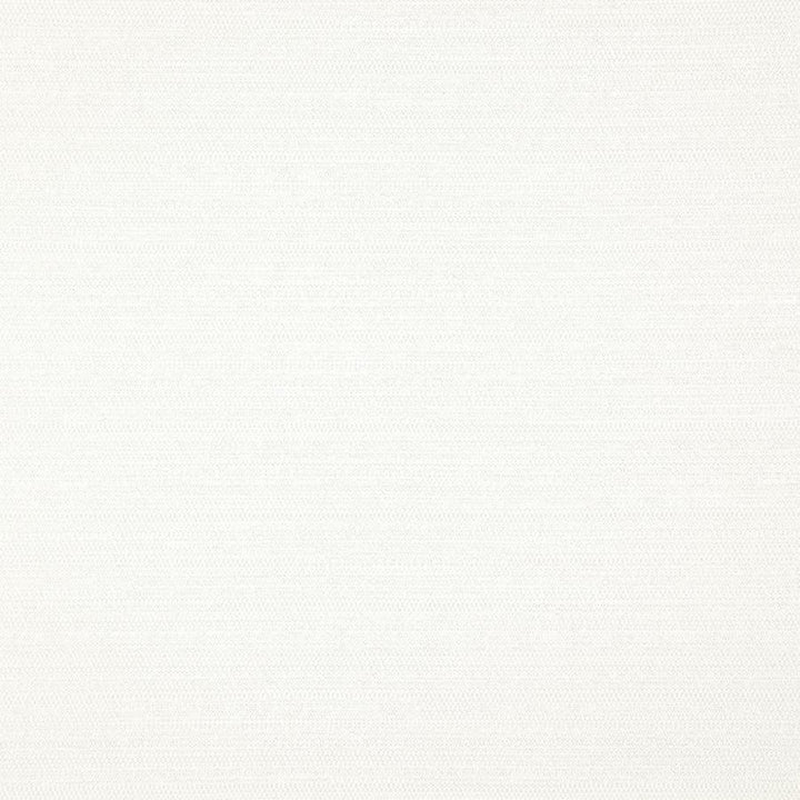Darwin # 711 Pearl by Maxwell Designer Fabric Pure & Simple Vii 100% POLYESTER INDIA 55" - Swanky Fabrics -