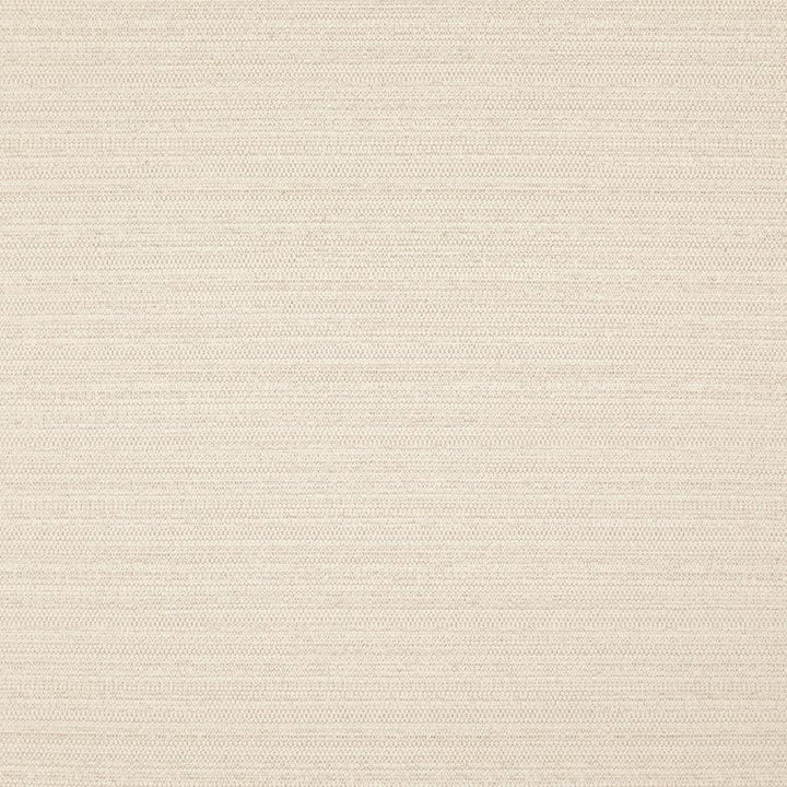 Darwin # 712 Natural by Maxwell Designer Fabric Pure & Simple Vii 100% POLYESTER INDIA 55" - Swanky Fabrics -
