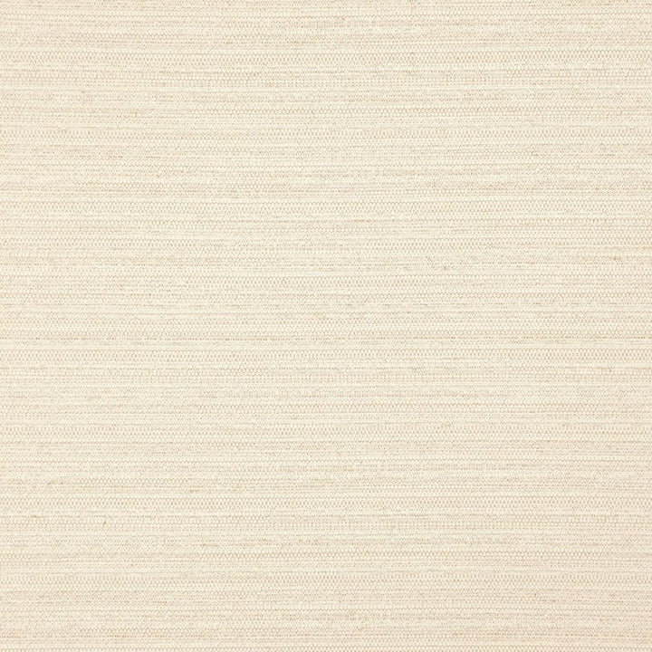 Darwin # 714 Raffia by Maxwell Designer Fabric Pure & Simple Vii 100% POLYESTER INDIA 55" - Swanky Fabrics -