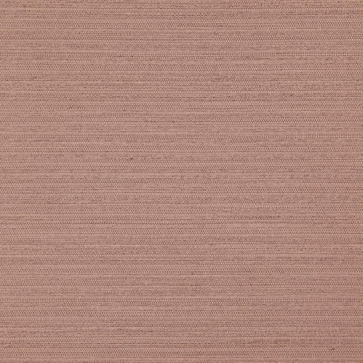 Darwin # 716 Cameo by Maxwell Designer Fabric Pure & Simple Vii 100% POLYESTER INDIA 55" - Swanky Fabrics -