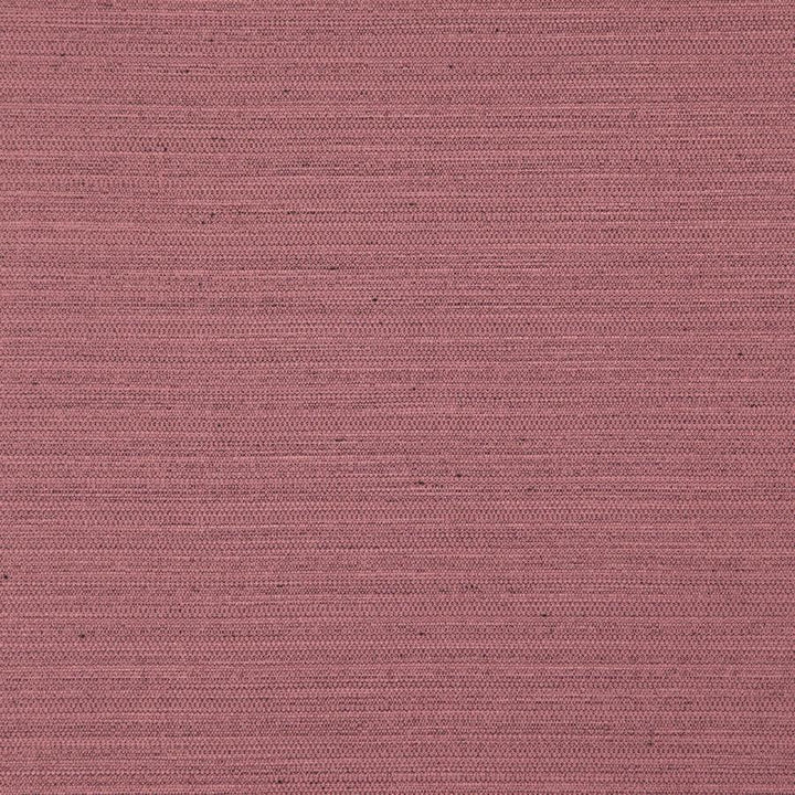 Darwin # 719 Lotus by Maxwell Designer Fabric Pure & Simple Vii 100% POLYESTER INDIA 55" - Swanky Fabrics -