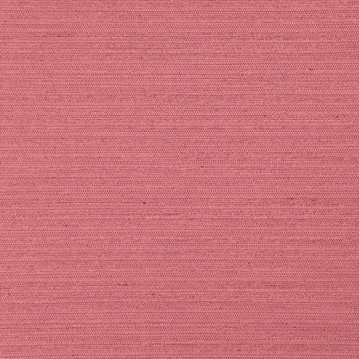 Darwin # 720 Sorbet by Maxwell Designer Fabric Pure & Simple Vii 100% POLYESTER INDIA 55" - Swanky Fabrics -