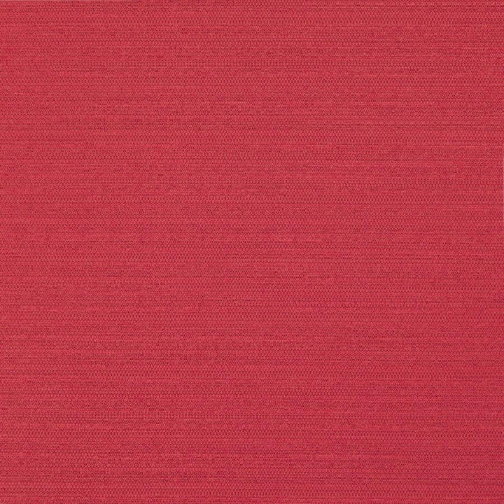 Darwin # 722 Lollipop by Maxwell Designer Fabric Pure & Simple Vii 100% POLYESTER INDIA 55" - Swanky Fabrics -