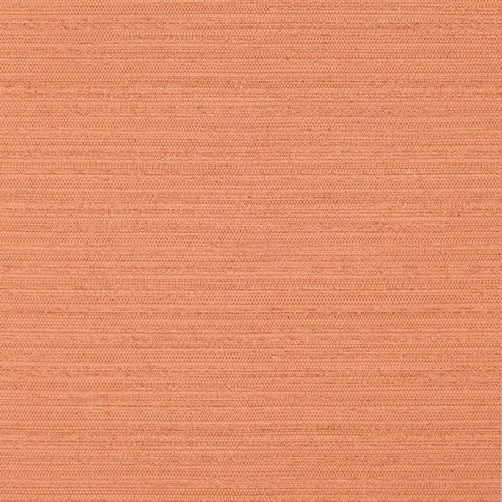 Darwin # 725 Amber by Maxwell Designer Fabric Pure & Simple Vii 100% POLYESTER INDIA 55" - Swanky Fabrics -