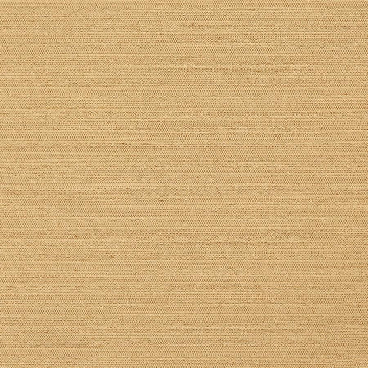 Darwin # 726 Fusion by Maxwell Designer Fabric Pure & Simple Vii 100% POLYESTER INDIA 55" - Swanky Fabrics -
