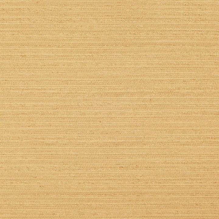 Darwin # 728 Gold by Maxwell Designer Fabric Pure & Simple Vii 100% POLYESTER INDIA 55" - Swanky Fabrics -