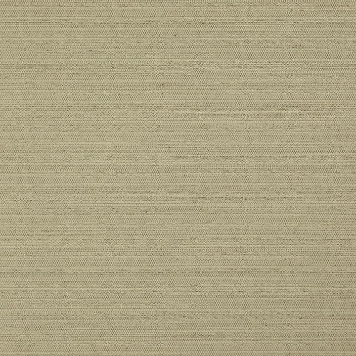 Darwin # 732 Fern by Maxwell Designer Fabric Pure & Simple Vii 100% POLYESTER INDIA 55" - Swanky Fabrics -