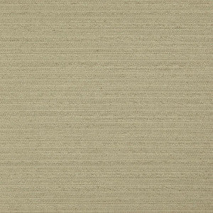 Darwin # 732 Fern by Maxwell Designer Fabric