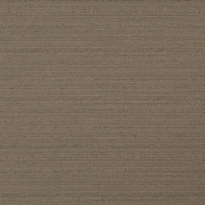 Darwin # 738 Cocoa by Maxwell Designer Fabric Pure & Simple Vii 100% POLYESTER INDIA 55" - Swanky Fabrics -