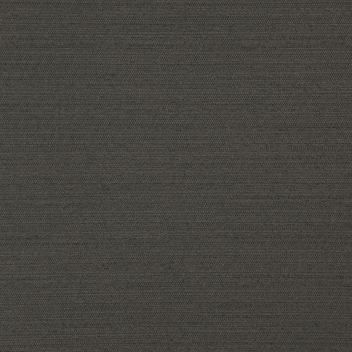 Darwin # 739 Coal by Maxwell Designer Fabric Pure & Simple Vii 100% POLYESTER INDIA 55" - Swanky Fabrics -