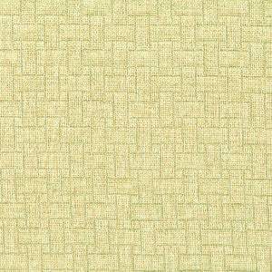 Difference 1 Aloe by Stout Designer Fabric