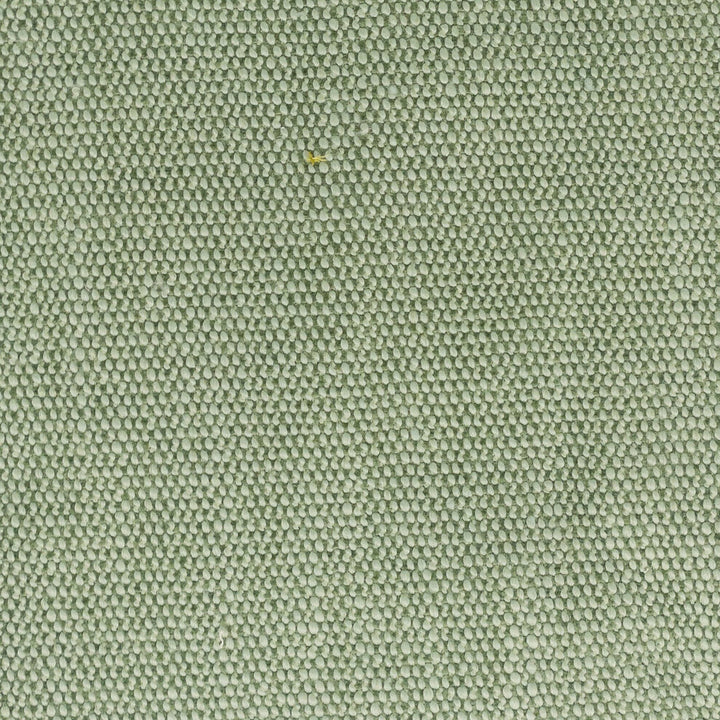 Dimitri 1 Seedling by Stout Designer Fabric LIVING IS EASY SPRING/SPA 80%POL 20%SVI CHINA FLAME RETARDANT-U.F.A.C. CLASS 1 FLAME RETARDANT-N.F.P.A. 260A CLASS 1 CATB 117-2013 WYZENBEEK 15 000 DOUBLE RUB WEAR TEST (HEAVY DUTY) Horizontal: 0.000 and Vertical: 0.000 56 in - Swanky Fabrics -