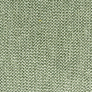 Dimitri 1 Seedling by Stout Designer Fabric