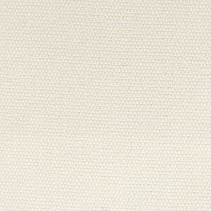 Dimitri 3 Pearl by Stout Designer Fabric LIVING IS EASY CHAMPAGNE/TOAST 80%POL 20%SVI CHINA CATB 117-2013 WYZENBEEK 50 000 DOUBLE RUB WEAR TEST (HEAVY DUTY) Horizontal: 0.000 and Vertical: 0.000 56 in - Swanky Fabrics -