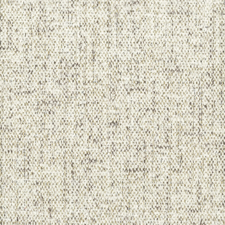 Diocese 1 Ash by Stout Fabric Stout Fabric Diocese 1 AshFabric LIGHT N' EASY PERFORMANCE 100%POL CHINA </p><p>Repeat: H: 0.000, V: 0.000 57 in - Fabric Carolina -