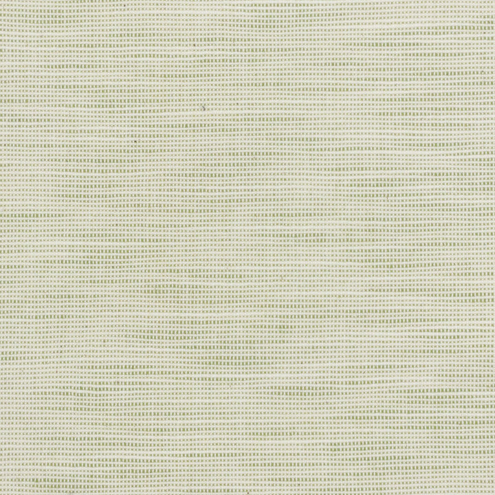 Disbelieve 3 Pear by Stout Fabric Stout Fabric Disbelieve 3 PearFabric TEXTURE APPEAL 52%COT 48%POL USA </p><p>Repeat: H: 0.500, V: 0.500 54 in - Fabric Carolina -
