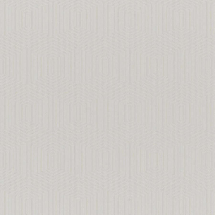 Dais # 618 Alabaster by Maxwell Designer Fabric Wide Width Drapery Ii 63% POLYESTER/37% COTTON INDIA V-9.4" H-4.7" 120" - Swanky Fabrics -