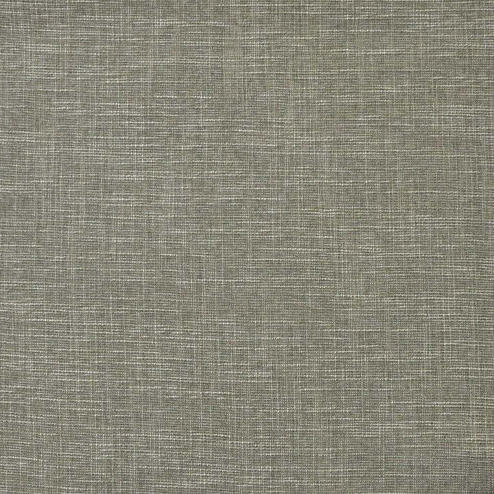 Daintree # 509 Rockwall by Maxwell Designer Fabric Pure & Simple Xv 65% POLYESTER/35%VISCOSE CHINA 55" - Swanky Fabrics -