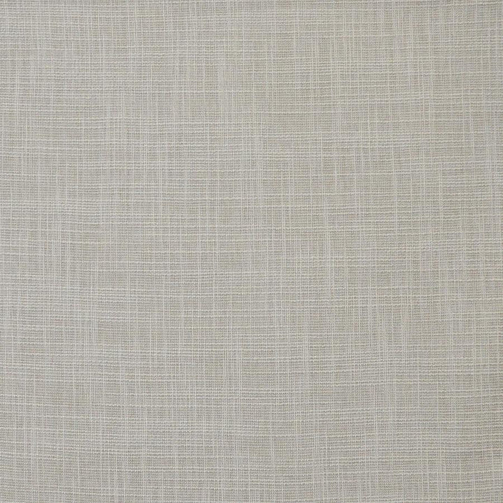 Daintree # 517 Stone by Maxwell Designer Fabric Pure & Simple Xv 65% POLYESTER/35%VISCOSE CHINA 55" - Swanky Fabrics -