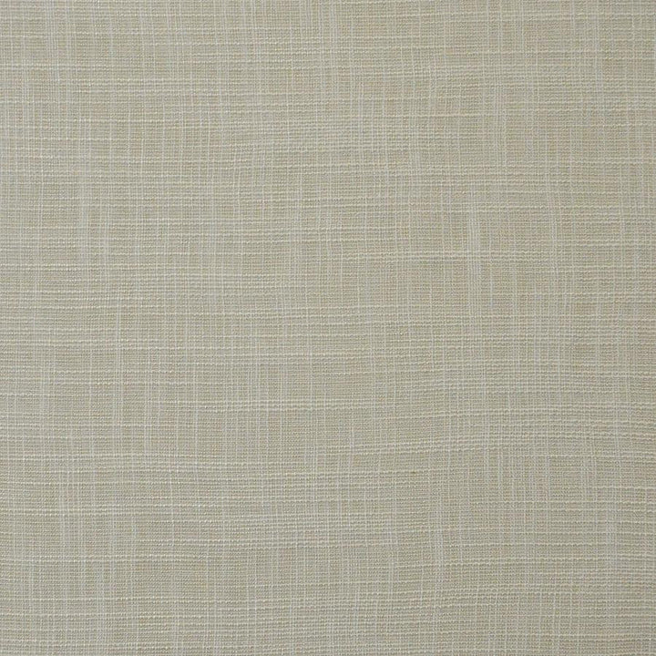 Daintree # 552 Plaster by Maxwell Designer Fabric Pure & Simple Xv 65% POLYESTER/35%VISCOSE CHINA 55" - Swanky Fabrics -