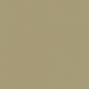 Downtown-Nj # 331 Sand Dollar by Maxwell Designer Fabric