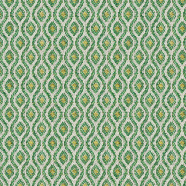 Downdrift # 645 Turtle by Maxwell Designer Fabric Home & Garden-Act Viii 100% SOLUTION DYED POLYOLEFIN INDIA V-1.18" H-0.91" 56.3" - Swanky Fabrics -