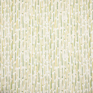 Dodds 1 Spring by Stout Designer Fabric