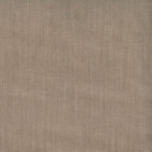 Dole Moleskin by Norbar Designer Fabric