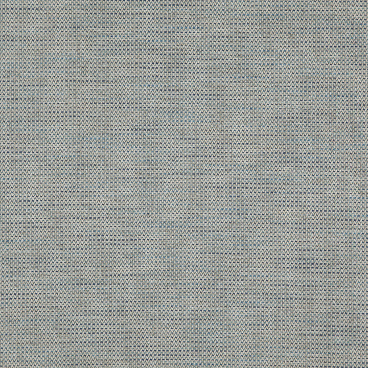 DONATO 64J8301 by JF Designer Fabric Everyday Crusader Fibreguard 79% Polyester, 21% Viscose India  Horizontal:  and Vertical:  55  - Swanky Fabrics -