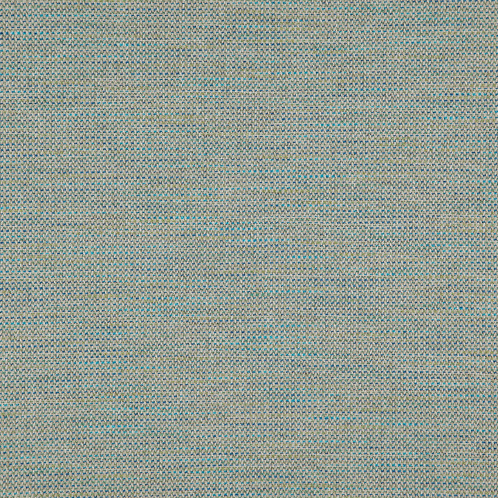 Donato 65J8301 by JF Designer Fabric Everyday Crusader Fibreguard 79% Polyester, 21% Viscose India 20000 Horizontal: and Vertical: 55 - Swanky Fabrics -