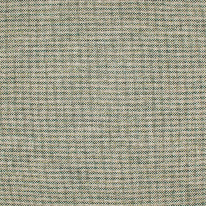 Donato 74J8301 by JF Designer Fabric Everyday Crusader Fibreguard 79% Polyester, 21% Viscose India 20000 Horizontal: and Vertical: 55 - Swanky Fabrics -