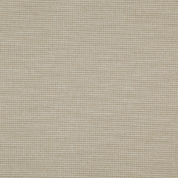 Donato 94J8301 by JF Designer Fabric Everyday Crusader Fibreguard 79% Polyester, 21% Viscose India 20000 Horizontal: and Vertical: 55 - Swanky Fabrics -