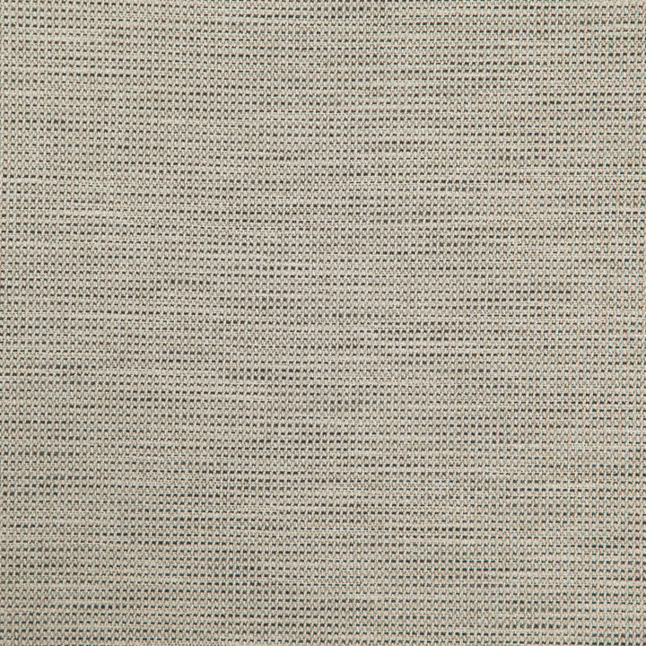 DONATO 96J8301 by JF Designer Fabric Everyday Crusader Fibreguard 79% Polyester, 21% Viscose India  Horizontal:  and Vertical:  55  - Swanky Fabrics -