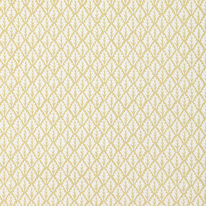 Dorso Maize by Kravet Designer Fabric