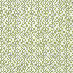 Dorso Olive by Kravet Designer Fabric