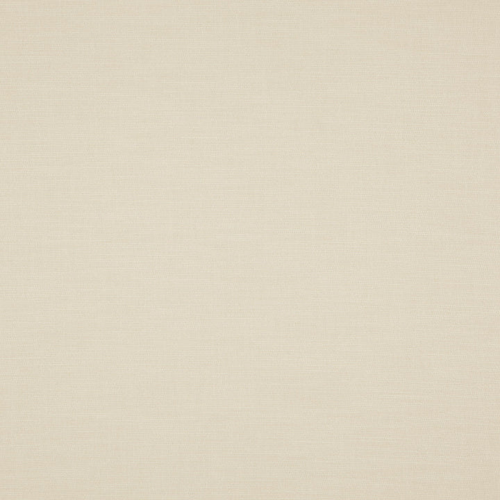 DOVER 91J8291 by JF Designer Fabric Veryday Presto Fibrguard 97% Polyester, 3% Viscose India  Horizontal:  and Vertical:  54  - Swanky Fabrics -