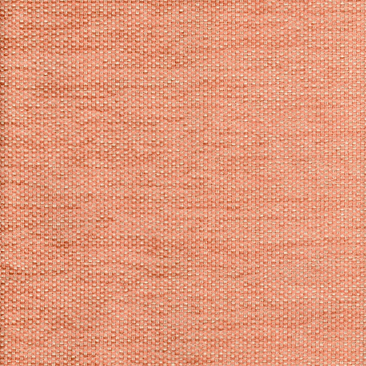 Doyle Peach by Magnolia Designer Fabric our website for purchase 32 Viscose 30 Polyester Propoline 28 Polyester 10 Cotton USA 15,000 Horizontal: 0 and Vertical: 0 54" - Swanky Fabrics -
