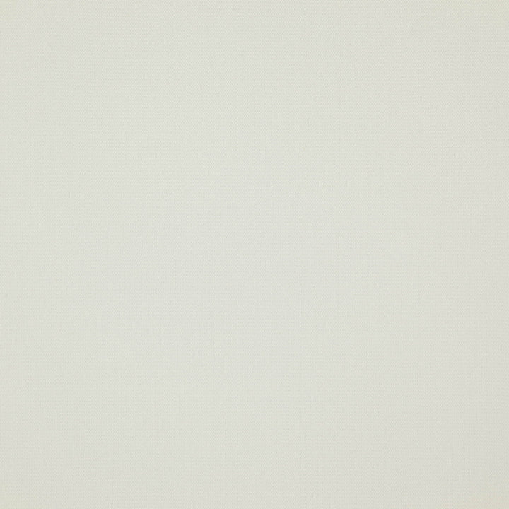 Dreamer 91J7601 by JF Designer Fabric Dreamer Book 50% Polyester, 50% Polyacrylic China 70000 Horizontal: and Vertical: 55 - Swanky Fabrics -